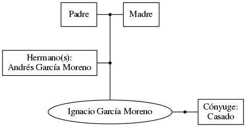 This is a graph with borders and nodes. Maybe there is an Imagemap used so the nodes may be linking to some Pages.