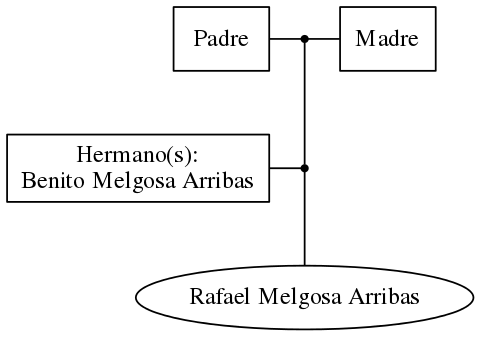 This is a graph with borders and nodes. Maybe there is an Imagemap used so the nodes may be linking to some Pages.