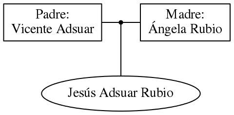 This is a graph with borders and nodes. Maybe there is an Imagemap used so the nodes may be linking to some Pages.