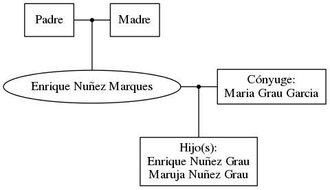 This is a graph with borders and nodes. Maybe there is an Imagemap used so the nodes may be linking to some Pages.