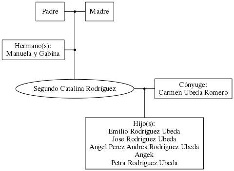 This is a graph with borders and nodes. Maybe there is an Imagemap used so the nodes may be linking to some Pages.