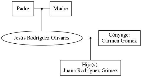 This is a graph with borders and nodes. Maybe there is an Imagemap used so the nodes may be linking to some Pages.