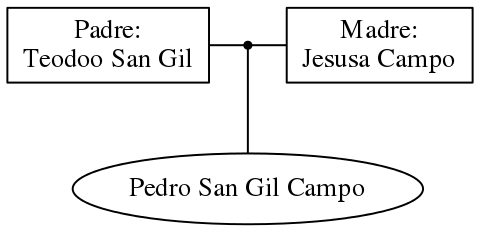 This is a graph with borders and nodes. Maybe there is an Imagemap used so the nodes may be linking to some Pages.