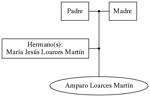 This is a graph with borders and nodes. Maybe there is an Imagemap used so the nodes may be linking to some Pages.