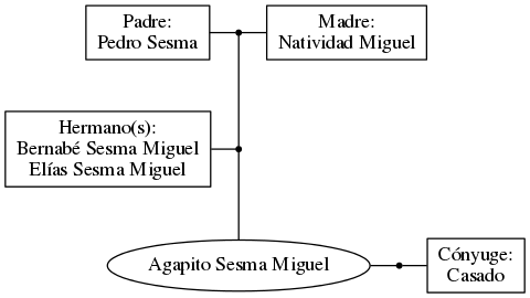 This is a graph with borders and nodes. Maybe there is an Imagemap used so the nodes may be linking to some Pages.