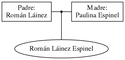 This is a graph with borders and nodes. Maybe there is an Imagemap used so the nodes may be linking to some Pages.