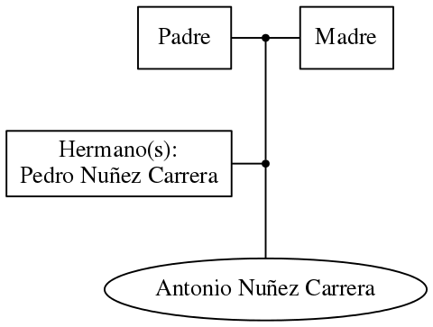 This is a graph with borders and nodes. Maybe there is an Imagemap used so the nodes may be linking to some Pages.