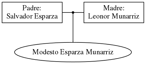 This is a graph with borders and nodes. Maybe there is an Imagemap used so the nodes may be linking to some Pages.