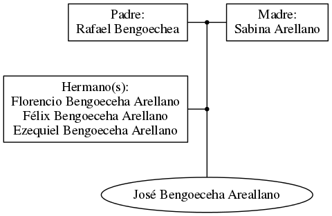 This is a graph with borders and nodes. Maybe there is an Imagemap used so the nodes may be linking to some Pages.