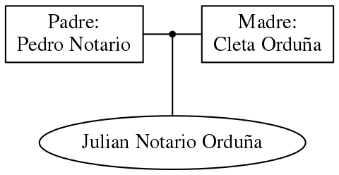 This is a graph with borders and nodes. Maybe there is an Imagemap used so the nodes may be linking to some Pages.