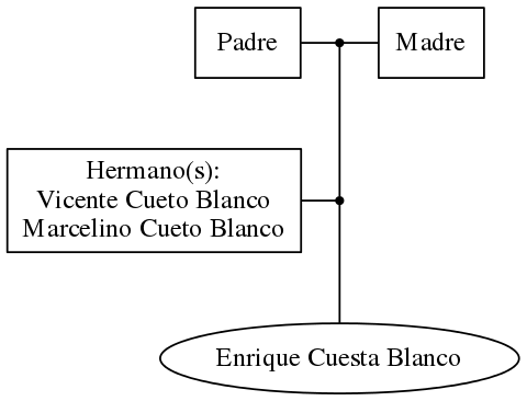 This is a graph with borders and nodes. Maybe there is an Imagemap used so the nodes may be linking to some Pages.