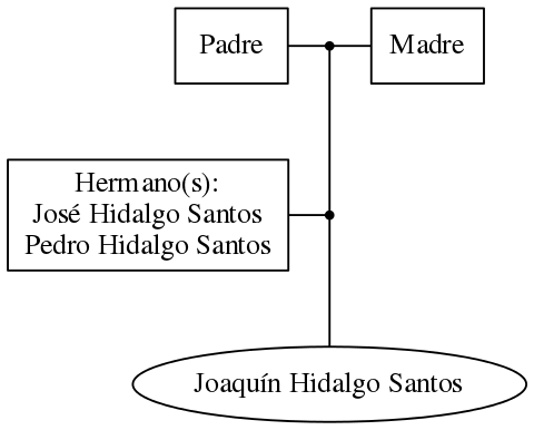 This is a graph with borders and nodes. Maybe there is an Imagemap used so the nodes may be linking to some Pages.