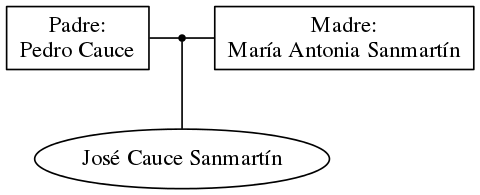 This is a graph with borders and nodes. Maybe there is an Imagemap used so the nodes may be linking to some Pages.