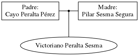 This is a graph with borders and nodes. Maybe there is an Imagemap used so the nodes may be linking to some Pages.