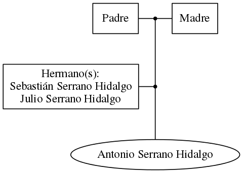 This is a graph with borders and nodes. Maybe there is an Imagemap used so the nodes may be linking to some Pages.