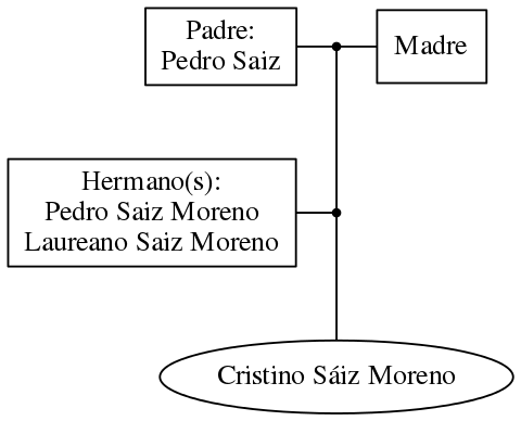 This is a graph with borders and nodes. Maybe there is an Imagemap used so the nodes may be linking to some Pages.