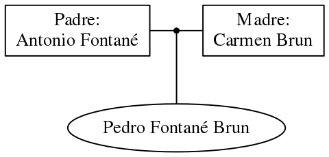 This is a graph with borders and nodes. Maybe there is an Imagemap used so the nodes may be linking to some Pages.