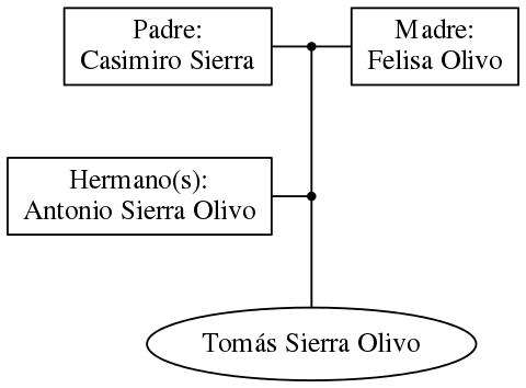 This is a graph with borders and nodes. Maybe there is an Imagemap used so the nodes may be linking to some Pages.