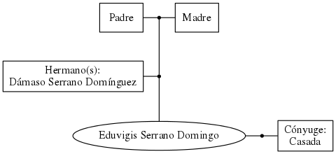 This is a graph with borders and nodes. Maybe there is an Imagemap used so the nodes may be linking to some Pages.