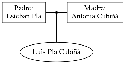 This is a graph with borders and nodes. Maybe there is an Imagemap used so the nodes may be linking to some Pages.