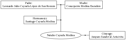 This is a graph with borders and nodes. Maybe there is an Imagemap used so the nodes may be linking to some Pages.