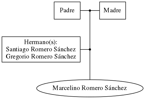 This is a graph with borders and nodes. Maybe there is an Imagemap used so the nodes may be linking to some Pages.