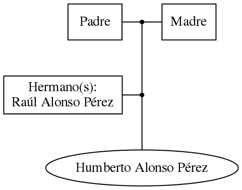 This is a graph with borders and nodes. Maybe there is an Imagemap used so the nodes may be linking to some Pages.