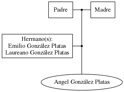 This is a graph with borders and nodes. Maybe there is an Imagemap used so the nodes may be linking to some Pages.