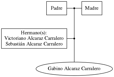 This is a graph with borders and nodes. Maybe there is an Imagemap used so the nodes may be linking to some Pages.