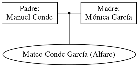 This is a graph with borders and nodes. Maybe there is an Imagemap used so the nodes may be linking to some Pages.