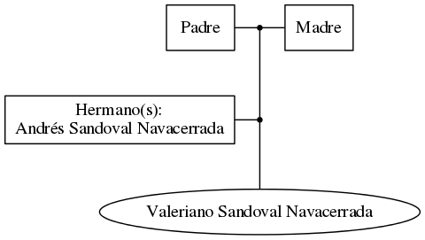 This is a graph with borders and nodes. Maybe there is an Imagemap used so the nodes may be linking to some Pages.