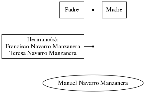 This is a graph with borders and nodes. Maybe there is an Imagemap used so the nodes may be linking to some Pages.