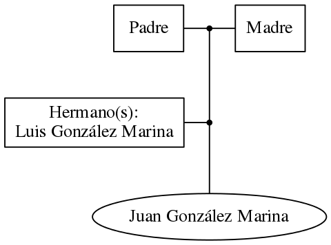 This is a graph with borders and nodes. Maybe there is an Imagemap used so the nodes may be linking to some Pages.