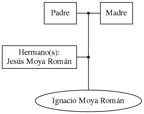 This is a graph with borders and nodes. Maybe there is an Imagemap used so the nodes may be linking to some Pages.