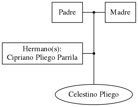 This is a graph with borders and nodes. Maybe there is an Imagemap used so the nodes may be linking to some Pages.