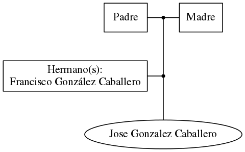 This is a graph with borders and nodes. Maybe there is an Imagemap used so the nodes may be linking to some Pages.