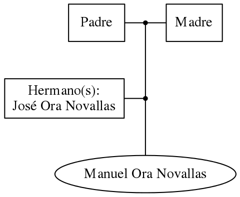 This is a graph with borders and nodes. Maybe there is an Imagemap used so the nodes may be linking to some Pages.