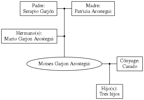 This is a graph with borders and nodes. Maybe there is an Imagemap used so the nodes may be linking to some Pages.