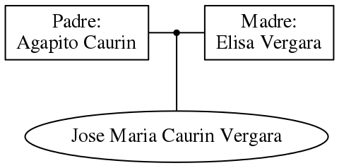 This is a graph with borders and nodes. Maybe there is an Imagemap used so the nodes may be linking to some Pages.