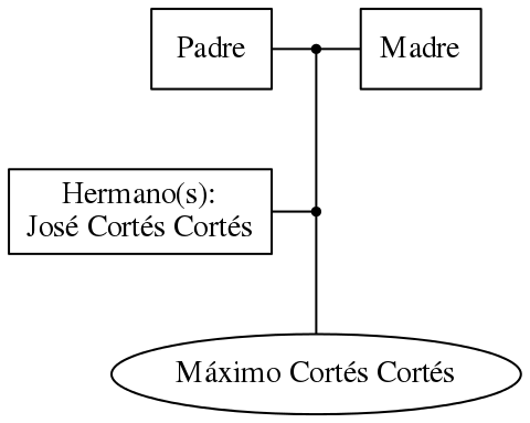 This is a graph with borders and nodes. Maybe there is an Imagemap used so the nodes may be linking to some Pages.