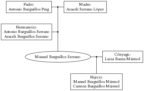 This is a graph with borders and nodes. Maybe there is an Imagemap used so the nodes may be linking to some Pages.