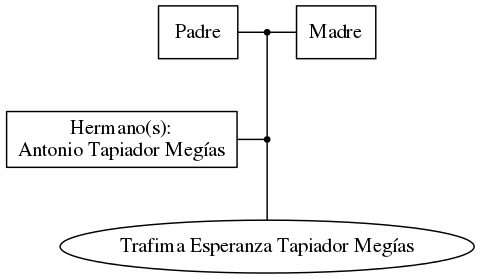 This is a graph with borders and nodes. Maybe there is an Imagemap used so the nodes may be linking to some Pages.