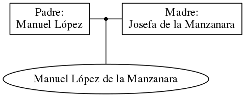 This is a graph with borders and nodes. Maybe there is an Imagemap used so the nodes may be linking to some Pages.