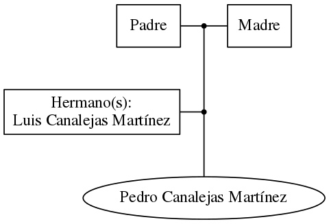 This is a graph with borders and nodes. Maybe there is an Imagemap used so the nodes may be linking to some Pages.