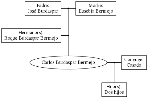 This is a graph with borders and nodes. Maybe there is an Imagemap used so the nodes may be linking to some Pages.