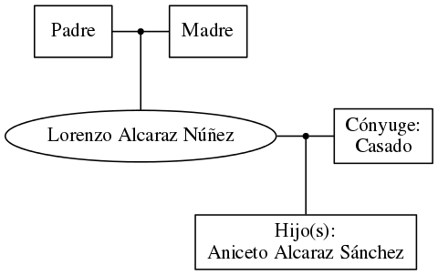 This is a graph with borders and nodes. Maybe there is an Imagemap used so the nodes may be linking to some Pages.