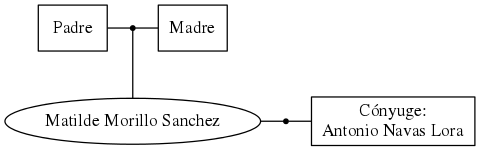 This is a graph with borders and nodes. Maybe there is an Imagemap used so the nodes may be linking to some Pages.