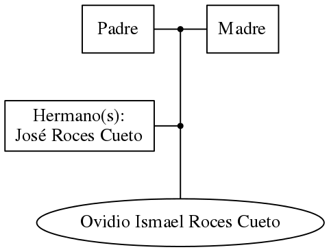 This is a graph with borders and nodes. Maybe there is an Imagemap used so the nodes may be linking to some Pages.