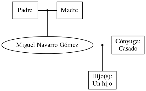 This is a graph with borders and nodes. Maybe there is an Imagemap used so the nodes may be linking to some Pages.