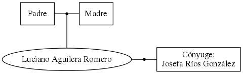 This is a graph with borders and nodes. Maybe there is an Imagemap used so the nodes may be linking to some Pages.